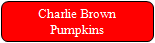 Charlie Brown pumpkins