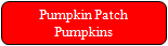 "Pumpkin Patch" Pumpkins