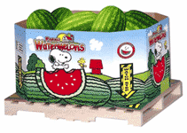 Snoopy watermelons